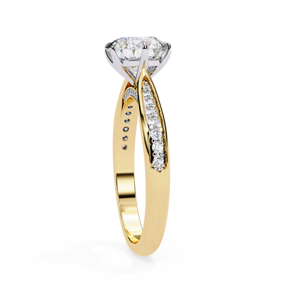 Round Array – Lab Diamond Domed Pavé Band in 14K Gold